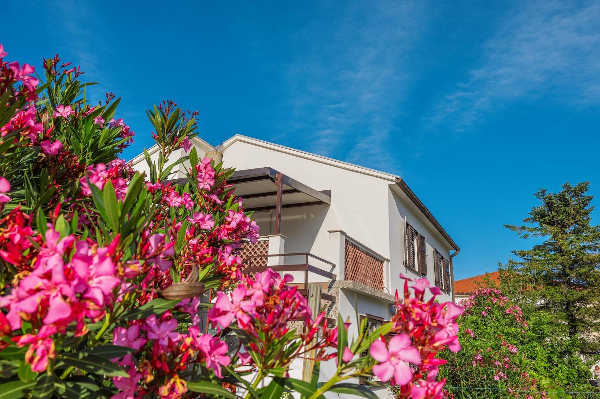Apartment Vinka Baška Esterno foto